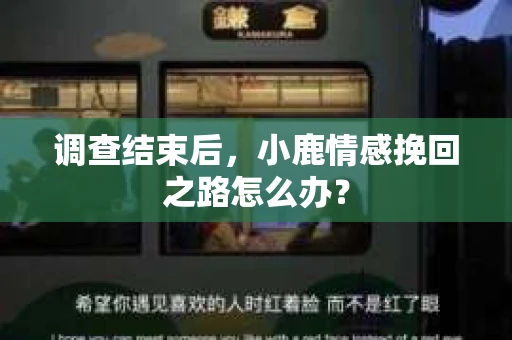 调查结束后，小鹿情感挽回之路怎么办？