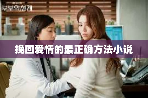 挽回爱情的最正确方法小说