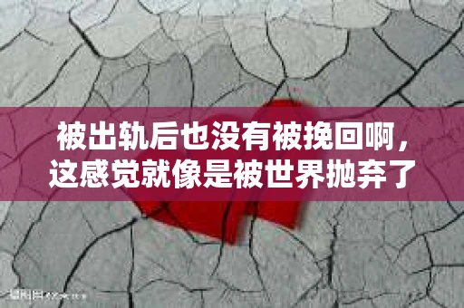 被出轨后也没有被挽回啊，这感觉就像是被世界抛弃了一样。我曾经也经历过这样的事情，那种心如刀割的痛，至今仍记忆犹新。今天，我想和大家聊聊这个话题，希望能给那些正在经历或者曾经经历过类似痛苦的人一些安慰和帮助。