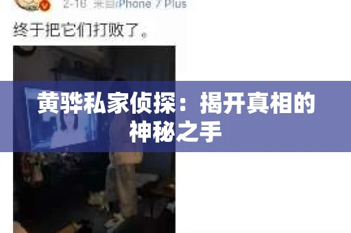 黄骅私家侦探：揭开真相的神秘之手