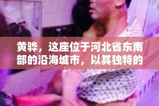 黄骅，这座位于河北省东南部的沿海城市，以其独特的地理位置和丰富的历史文化而闻名。然而，在这座城市中，还有一群人，他们以另一种方式默默守护着社会的公平与正义——私家侦探。今天，我们就来聊聊黄骅的私家侦探，看看他们是如何在这个城市中发挥作用的。