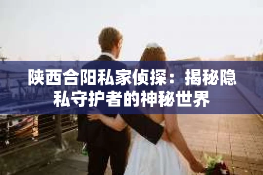 陕西合阳私家侦探：揭秘隐私守护者的神秘世界
