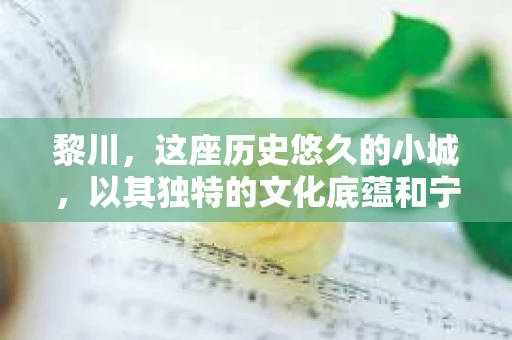 黎川，这座历史悠久的小城，以其独特的文化底蕴和宁静的生活节奏吸引着无数游客。然而，在这样一个看似平静的城市里，你是否会好奇，有没有私家侦探机构的存在呢？今天，就让我带你一探究竟。