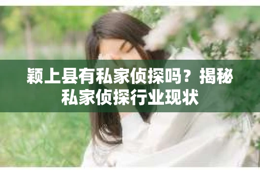 颖上县有私家侦探吗？揭秘私家侦探行业现状