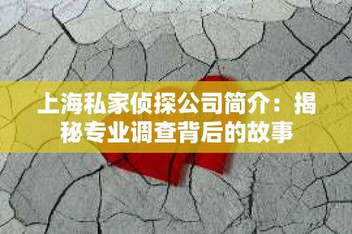 上海私家侦探公司简介：揭秘专业调查背后的故事