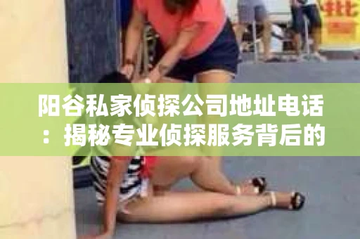 阳谷私家侦探公司地址电话：揭秘专业侦探服务背后的故事
