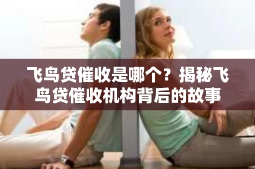 飞鸟贷催收是哪个？揭秘飞鸟贷催收机构背后的故事