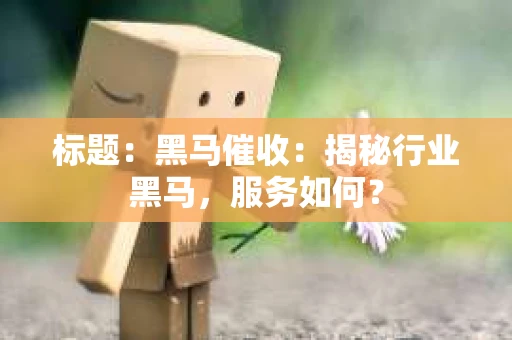 标题：黑马催收：揭秘行业黑马，服务如何？