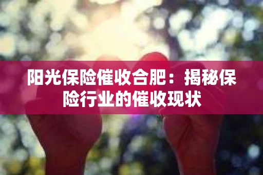 阳光保险催收合肥：揭秘保险行业的催收现状