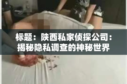 标题：陕西私家侦探公司：揭秘隐私调查的神秘世界