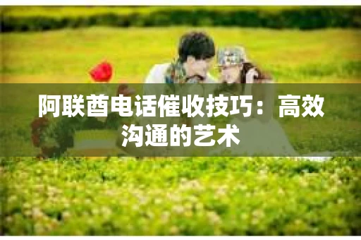 阿联酋电话催收技巧：高效沟通的艺术