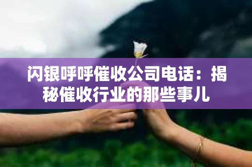 闪银呼呼催收公司电话：揭秘催收行业的那些事儿