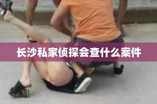长沙私家侦探会查什么案件