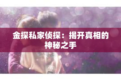 金探私家侦探：揭开真相的神秘之手