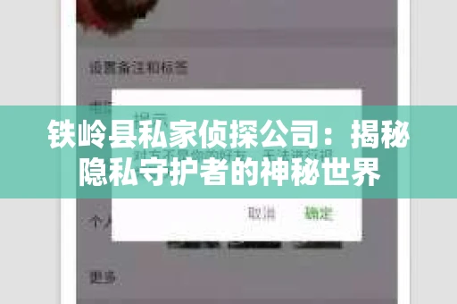 铁岭县私家侦探公司：揭秘隐私守护者的神秘世界