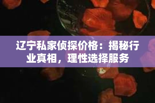 辽宁私家侦探价格：揭秘行业真相，理性选择服务