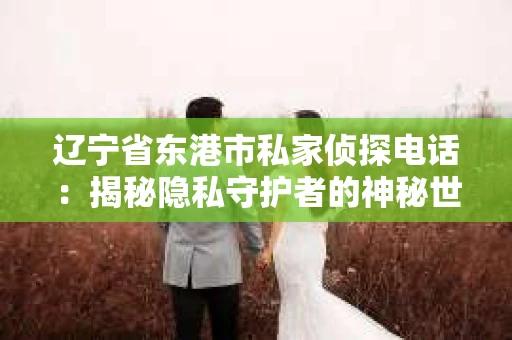 辽宁省东港市私家侦探电话：揭秘隐私守护者的神秘世界