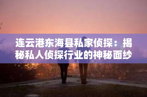 连云港东海县私家侦探：揭秘私人侦探行业的神秘面纱