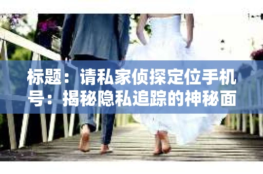 标题：请私家侦探定位手机号：揭秘隐私追踪的神秘面纱