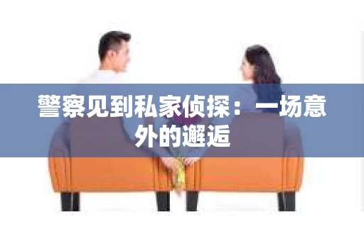 警察见到私家侦探：一场意外的邂逅