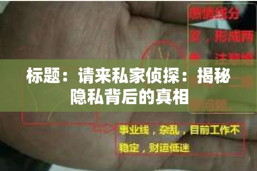 标题：请来私家侦探：揭秘隐私背后的真相