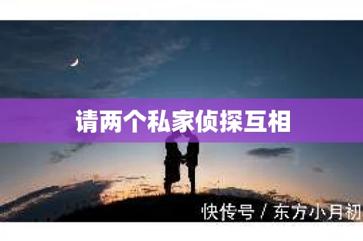 请两个私家侦探互相