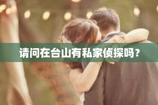请问在台山有私家侦探吗？