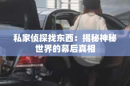 私家侦探找东西：揭秘神秘世界的幕后真相
