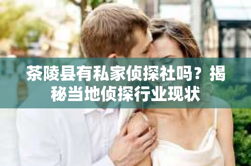 茶陵县有私家侦探社吗？揭秘当地侦探行业现状