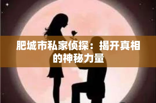 肥城市私家侦探：揭开真相的神秘力量