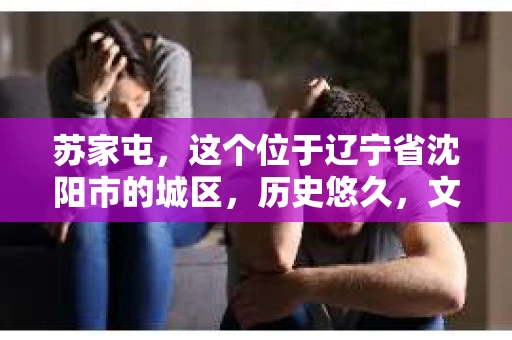 苏家屯，这个位于辽宁省沈阳市的城区，历史悠久，文化底蕴深厚。近年来，随着社会的发展，人们对于私家侦探的需求也逐渐增加。那么，苏家屯有私家侦探吗？今天，我们就来聊聊这个话题。