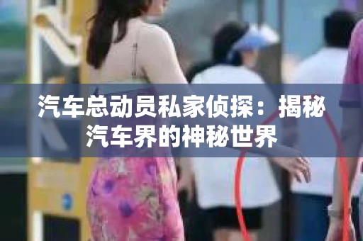汽车总动员私家侦探：揭秘汽车界的神秘世界