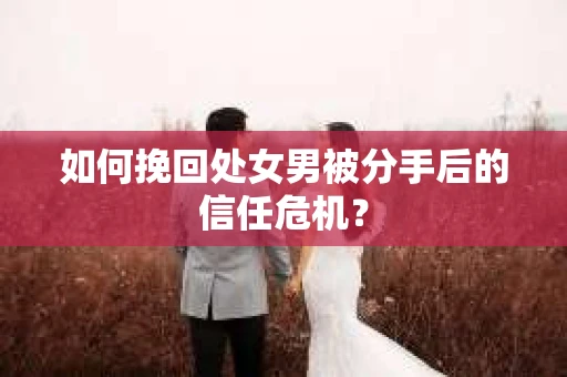 如何挽回处女男被分手后的信任危机？