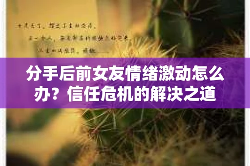 分手后前女友情绪激动怎么办？信任危机的解决之道