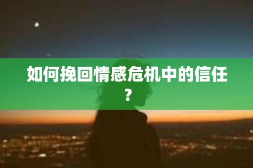 如何挽回情感危机中的信任？