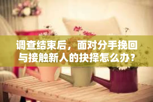 调查结束后，面对分手挽回与接触新人的抉择怎么办？