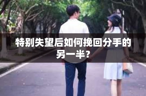 特别失望后如何挽回分手的另一半？