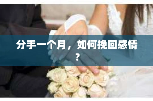 分手一个月,如何挽回感情? 分手一个月,如何挽回感情?