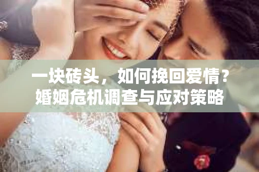 一块砖头，如何挽回爱情？婚姻危机调查与应对策略