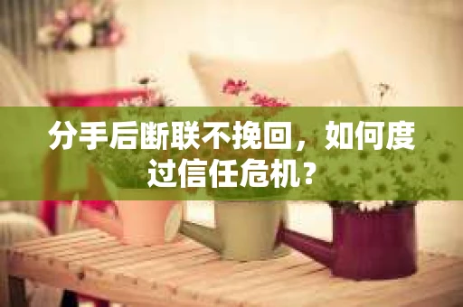分手后断联不挽回，如何度过信任危机？