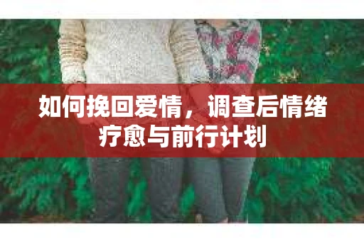 如何挽回爱情，调查后情绪疗愈与前行计划