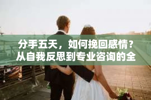 分手五天，如何挽回感情？从自我反思到专业咨询的全面解决方案