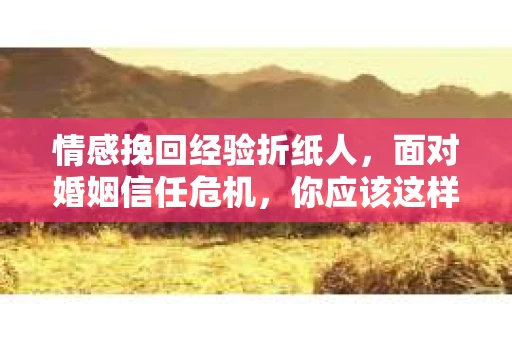 情感挽回经验折纸人，面对婚姻信任危机，你应该这样做