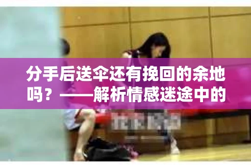 分手后送伞还有挽回的余地吗？——解析情感迷途中的决策
