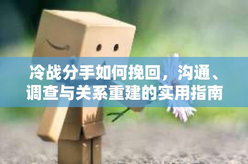 冷战分手如何挽回，沟通、调查与关系重建的实用指南