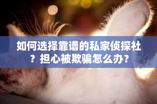 如何选择靠谱的私家侦探社？担心被欺骗怎么办？