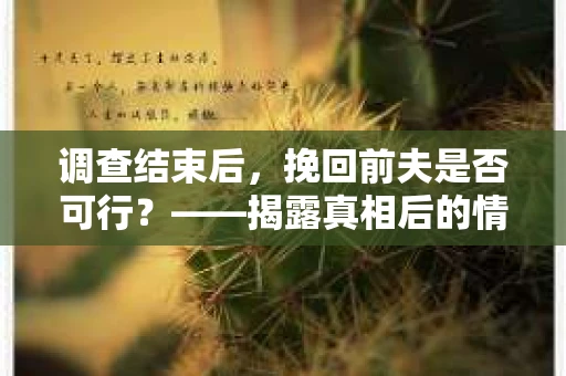 调查结束后，挽回前夫是否可行？——揭露真相后的情感疗愈与人生决策